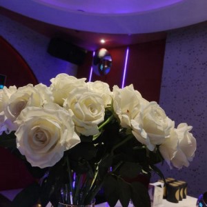 杭州女生求职优选：哪些行业岗位更适配